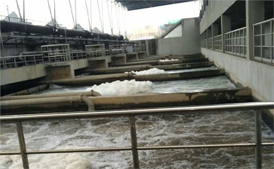 上海黑偉水污染治理工程實拍 上海黑偉水污染治理工程實拍